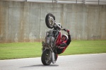 Pfeiffer Extreme Wheelie